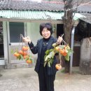 마고실 이미지