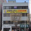 노라조 야옹아 이미지