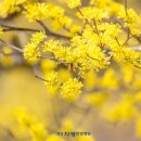 광주자생한방병원 이미지