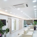 해운대코끼리정형외과의원 이미지