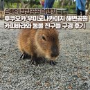 후쿠오카 여행기 - 아이와 가기 좋은 우미노나카미치 해변공원 동물원 후기 (ft. 자전거 대여 방법)