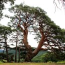 송면민원봉사실 이미지