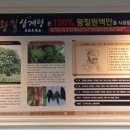 주선황칠삼계탕 네이버블로그