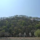 영동고등학교 이미지