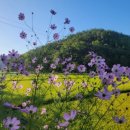 내동삼계리 이미지