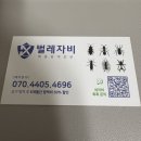 자비의집 | [내돈내산] 원룸 바퀴벌레 방역 후기, 벌레자비 후기 (벌레 사진 없음)