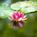 삼락생태공원 이미지