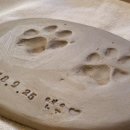 꼼지락 강아지 이미지