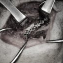 속초삼성동물메디컬센터 이미지