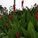 J.S골프연습장 이미지