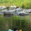 고요한꽃뜰 이미지