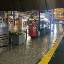 동백여인숙 | 가고시마 2박 3일 혼자 여행 , 첫날은 시로야마 호텔에 숙박하고 다음날은 신칸센 타고 구마모토에 갔당