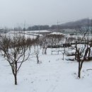 길원농장 이미지