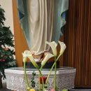 풍납동성당 이미지