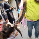 펜션달안동 이미지