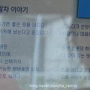 베리베리솔티 네이버블로그