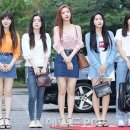 레드벨벳 Daum카페