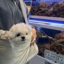 돈땡기네 이미지