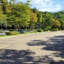 인천대공원(썰매장입구) 이미지