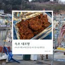 골목순대 | 속초 대포항 수산시장 모녀가리비 오징어순대 / 튀김골목 후기