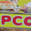 The꿈나무어린이집 이미지