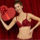 퍼펙트 P.T 이미지