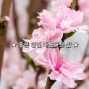 좋은인연 이미지