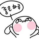 레굴루스커피