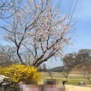 해미읍성감자탕 이미지