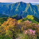 산의향기 네이버블로그
