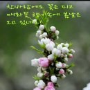 춘길농장 이미지