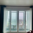 행복도시주유소 | [애견동반2박3일제주여행]정맘이랑 여름제주_성산에서 애월코스_강아지랑카약_렌트카혼유후기