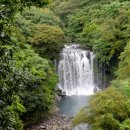 천제연폭포 이미지