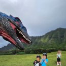 오마어린이공원 | 하와이 6박8일 자유여행 일정부터 비용까지