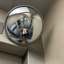 나이스 PC방 | 예쁜나이스물다섯살잘가게