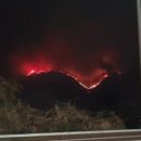 야산마을진입로 이미지