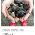 천리포연일콘도 이미지