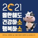 조홍한의원 티스토리