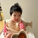 보리수하 | [육아일기] 8개월 (생후 241~270일) / 이유식 고민, 기저귀 고민, 건강 고민