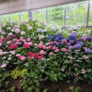 늘봄상회 이미지