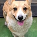 제천약국 이미지