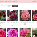 (주)바라 이미지