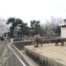 달성공원관리사무소 이미지