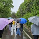 장척힐링 농촌체험마을 이미지