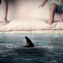 [1급과정] 아동폭력예방상담사 1급 이미지