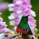 머슴과 아내 첫날밤 이미지