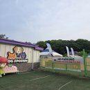 송추 강아지 수영장 도그스포지움 나들이 후기