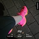 베이퍼통영 | 런린이의 나이키 알파플라이 2 리뷰 러닝화 리뷰 러닝화리뷰 크림에서 구매!