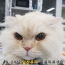 시온동물병원 이미지