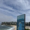 뉴캐슬호스텔 | [251103-09]호주 시드니 워홀 10주차 일기